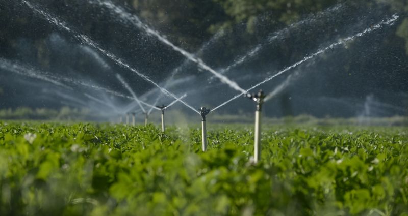 Commercial Irrigation Service in Honolulu, HI