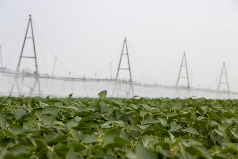 Drip Irrigation Installation detail