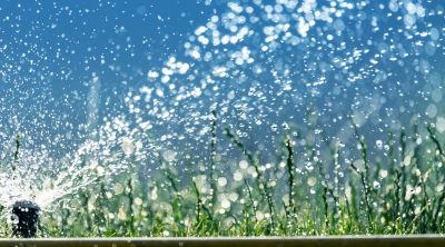 Sprinkler Winterizing Service detail